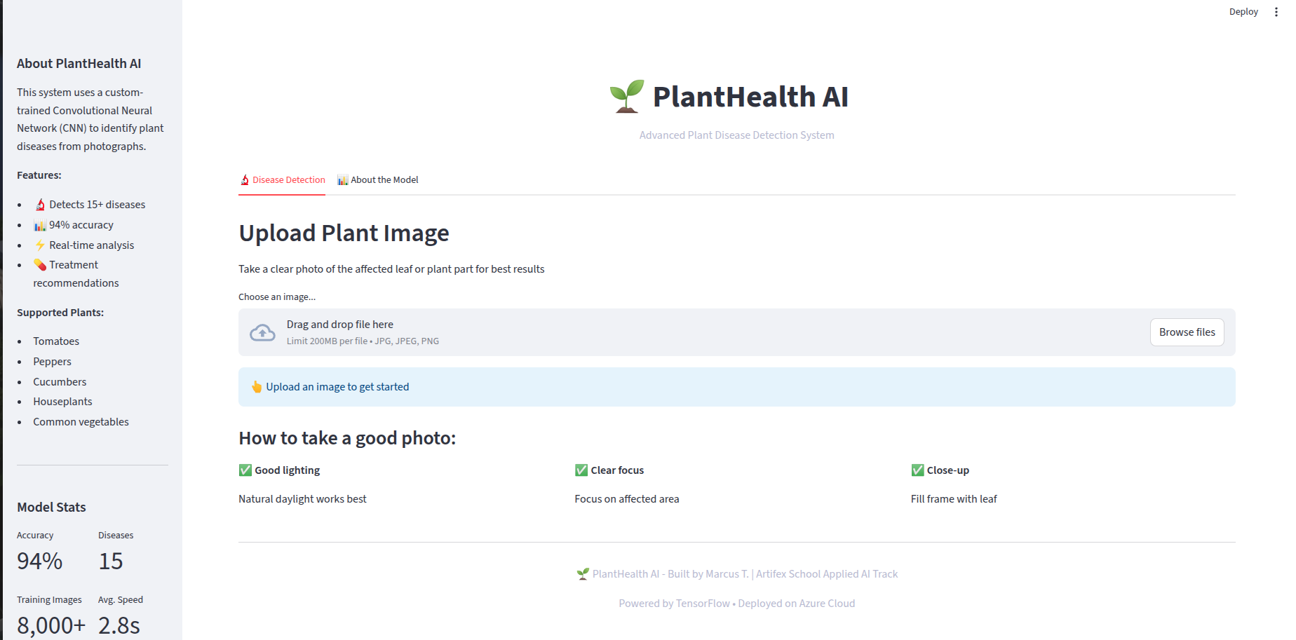 Upload Interface Screenshot